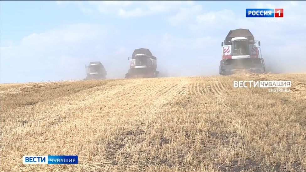 Финансирование сельского хозяйства Чувашии увеличилось на 36% по сравнению с предыдущим годом