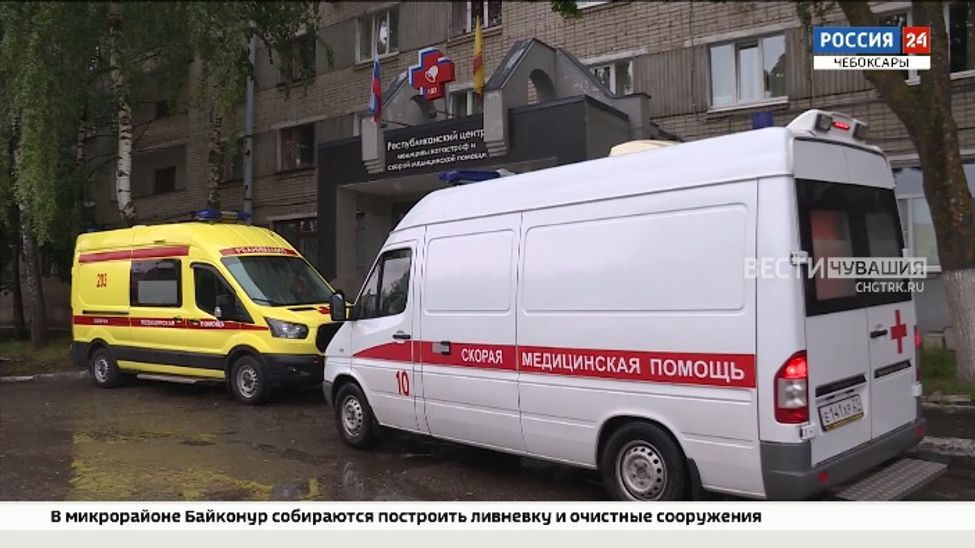 В Чувашии участились случаи укусов собак