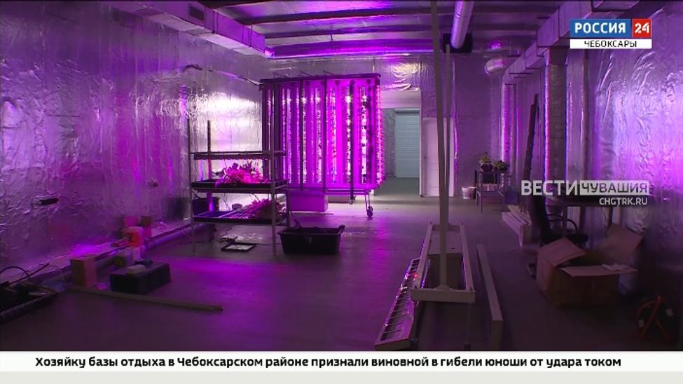 Чебоксарские инженеры разработали гидропонную сити-ферму для выращивания зелени и ягод