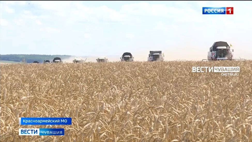 В Чувашии отмечена высокая урожайность зерна