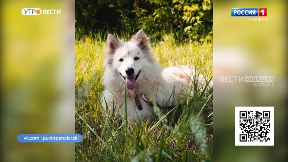 Проект "Найди друга". №30. Белоснежка