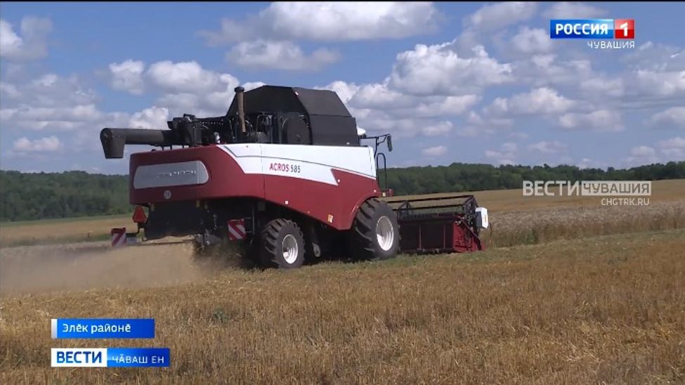 Чӑваш Енре паянхи кун тӗлне 138 пин тонна яхӑн тырӑ пухса илнӗ