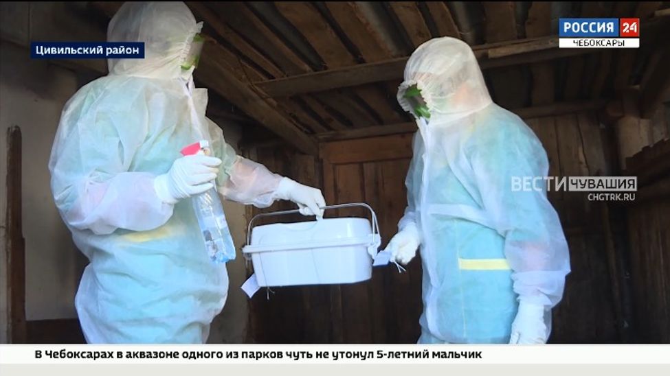 В Чувашии провели учения на случай возникновения оспы овец и коз