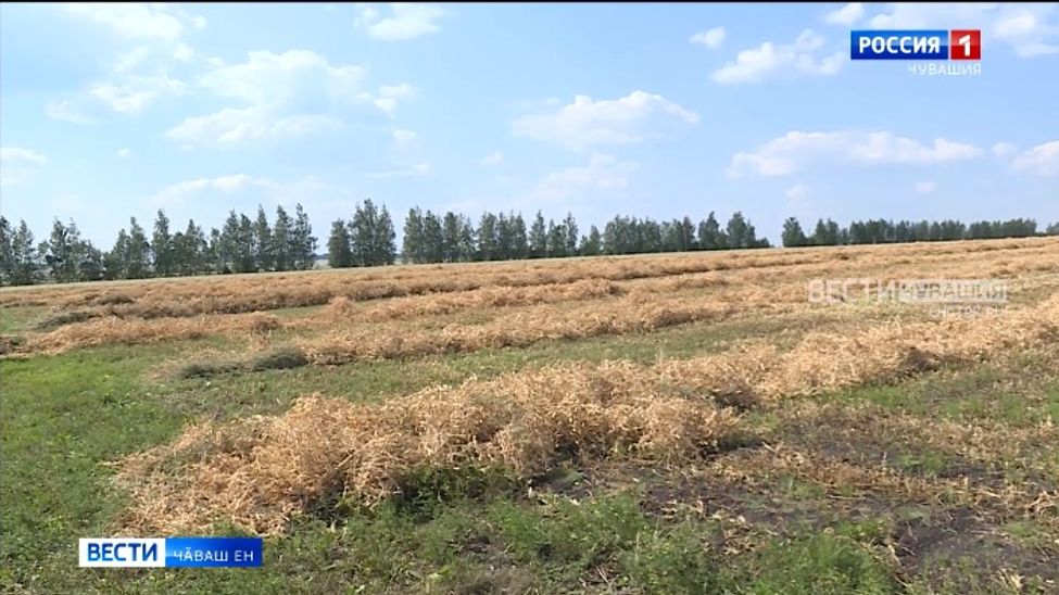Чӑваш Енре типӗ ҫанталӑка пула чрезвычайлӑ лару-тӑру йӗркине йышӑннӑ