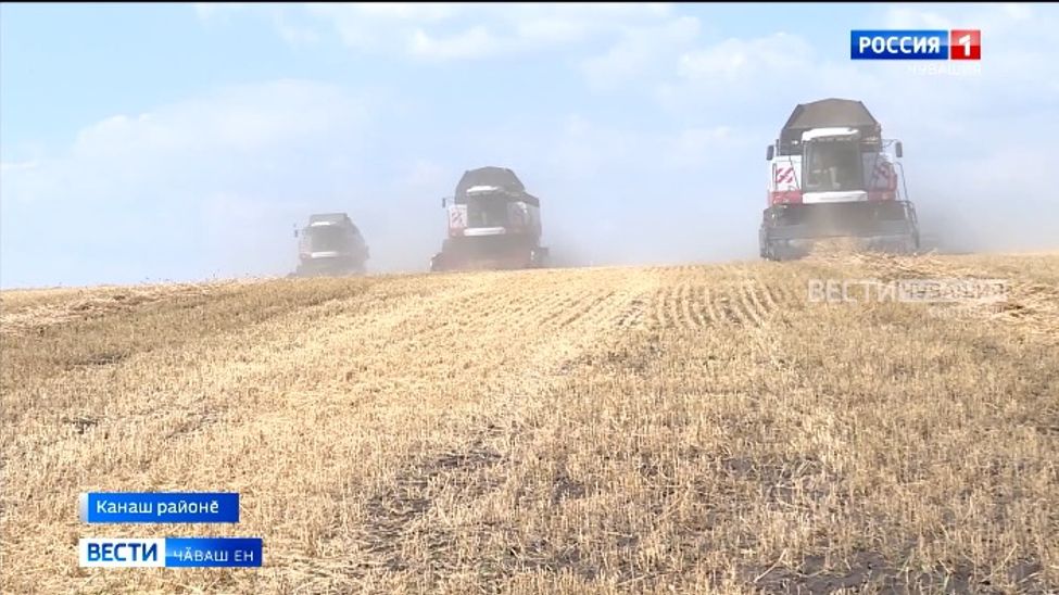 Уяр ҫанталӑкпа усӑ курса хуҫалӑхсем тухӑҫа пухса кӗртме васкаҫҫӗ