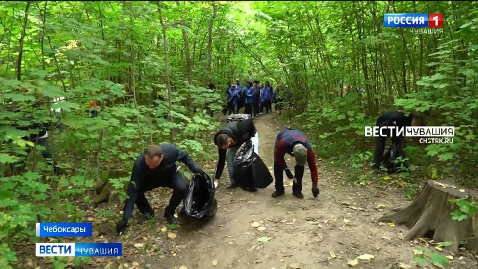 Чувашия присоединилась ко Всероссийскому проекту «Зелёная Россия» 