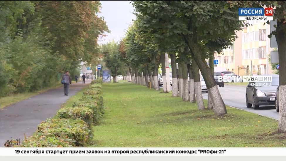 В выходные в Чувашии прогнозируют теплую погоду с дождями