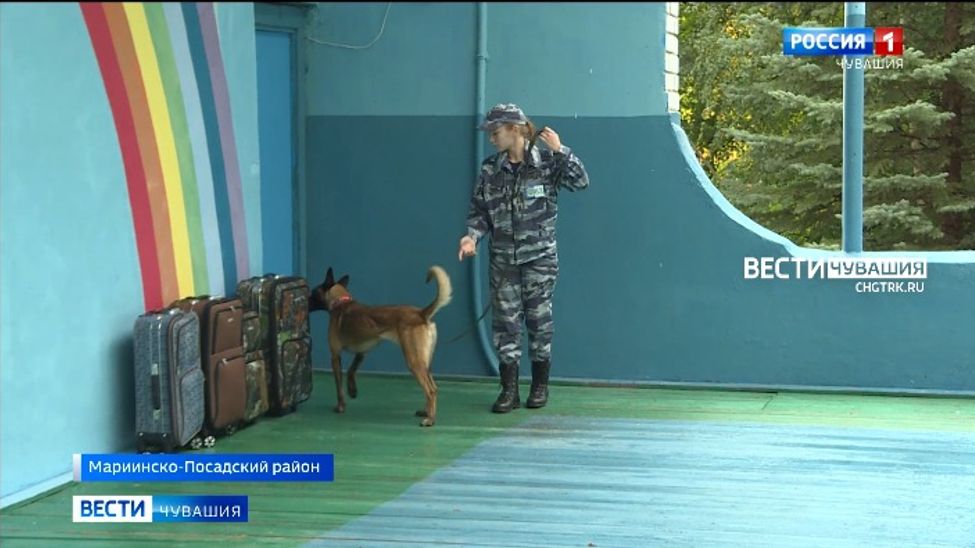 В Чувашии проходят Всероссийские соревнования кинологов-полицейских