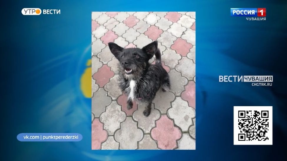 Проект "Найди друга". №35. Зося