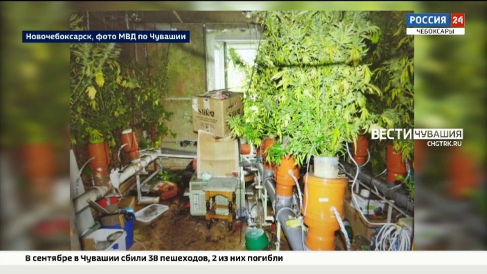 В Чувашии пожар пожар помог полицейским найти наркоплантацию