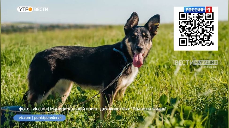 Проект "Найди друга". №36. Рая