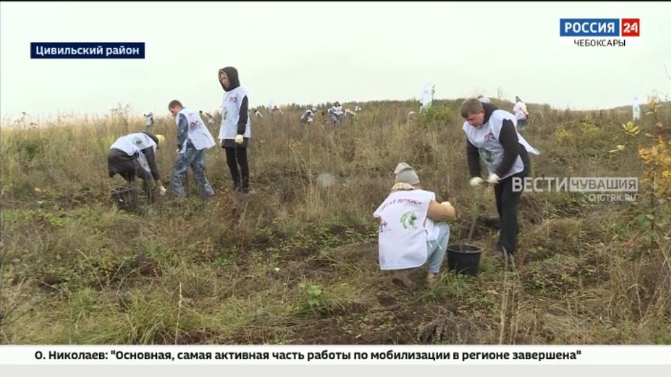 Энергетики Чувашии посадили более 11 тысяч деревьев