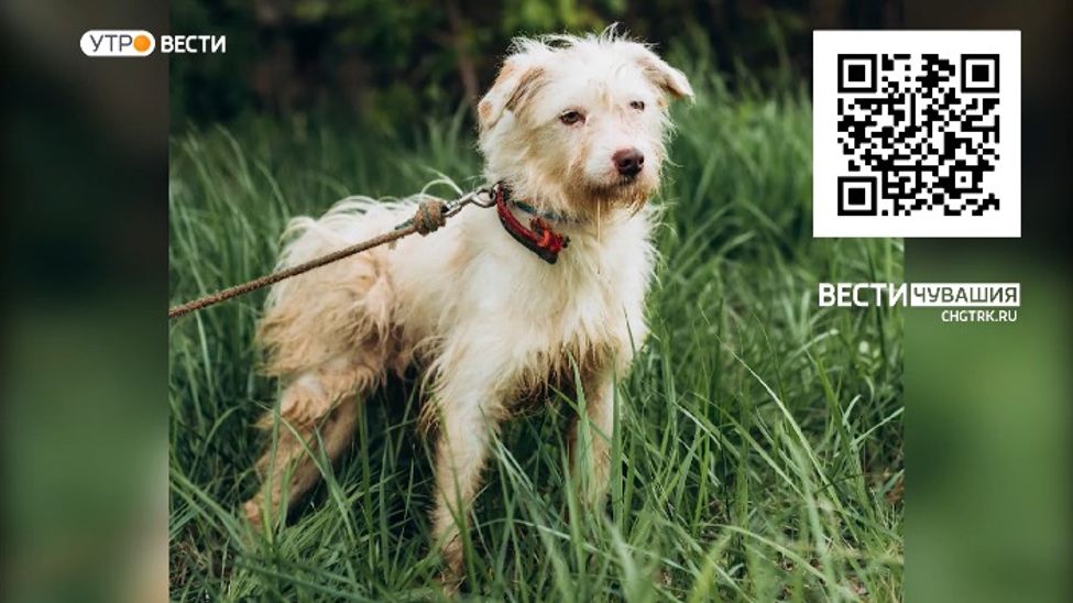 Проект "Найди друга". №39. Снежинка