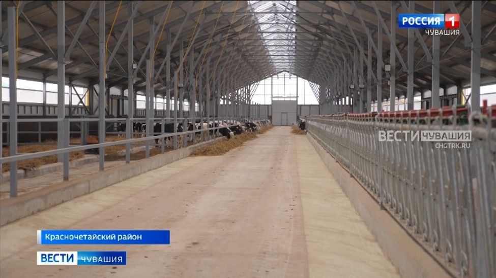 В Красночетайском районе ввели в эксплуатацию коровник на 1200 голов