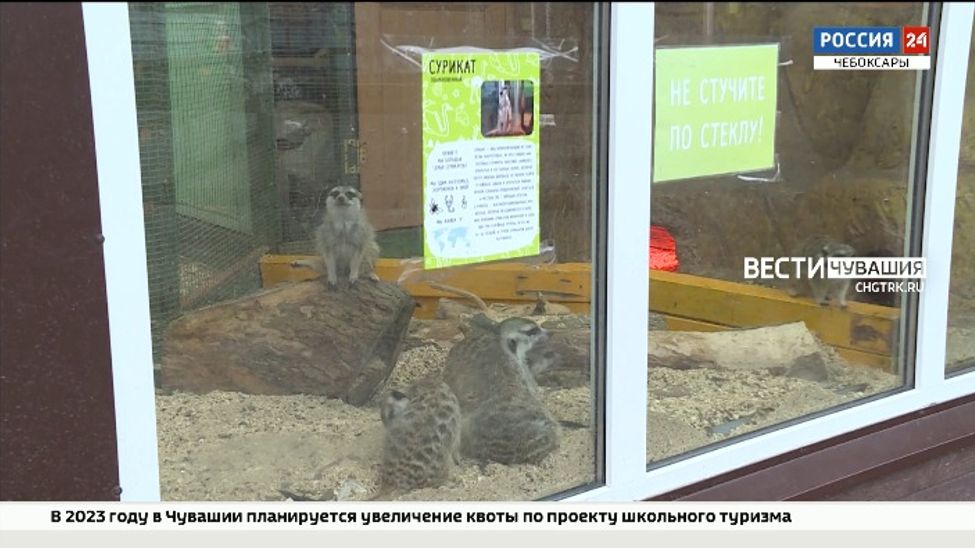 В Чебоксарах животные зооуголка "Ковчег" переехали в обогреваемые вольеры