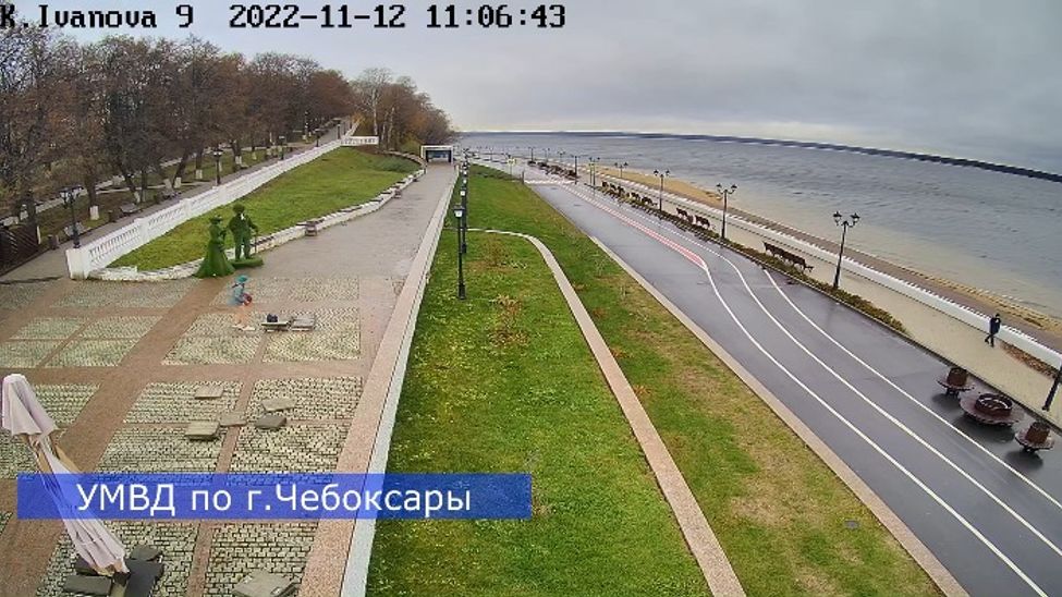 Жительница Чебоксар не смогла пройти мимо сумки, оставленной туристкой из Самары