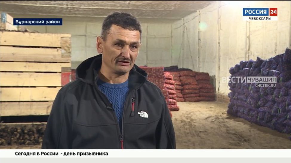 Фермер из Чувашии благодаря гранту увеличил производство картофеля 