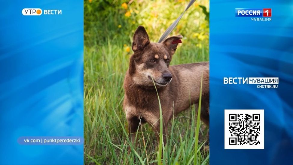 Проект "Найди друга". №40. Куба