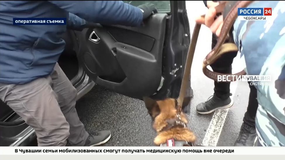 Задержанный в Чувашии наркокурьер из Самарской области перевозил в машине более 1 кг мефедрона