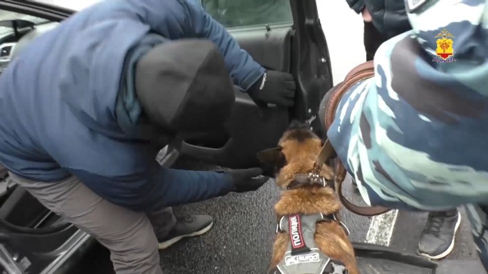 В Чувашии полицейские задержали наркокурьера из Самарской области