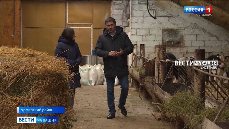 Фермер из Урмарского района эффективно развивает хозяйство и стремится привлечь молодежь на село
