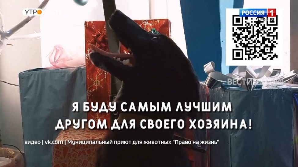 Проект "Найди друга". №43. Черемушка