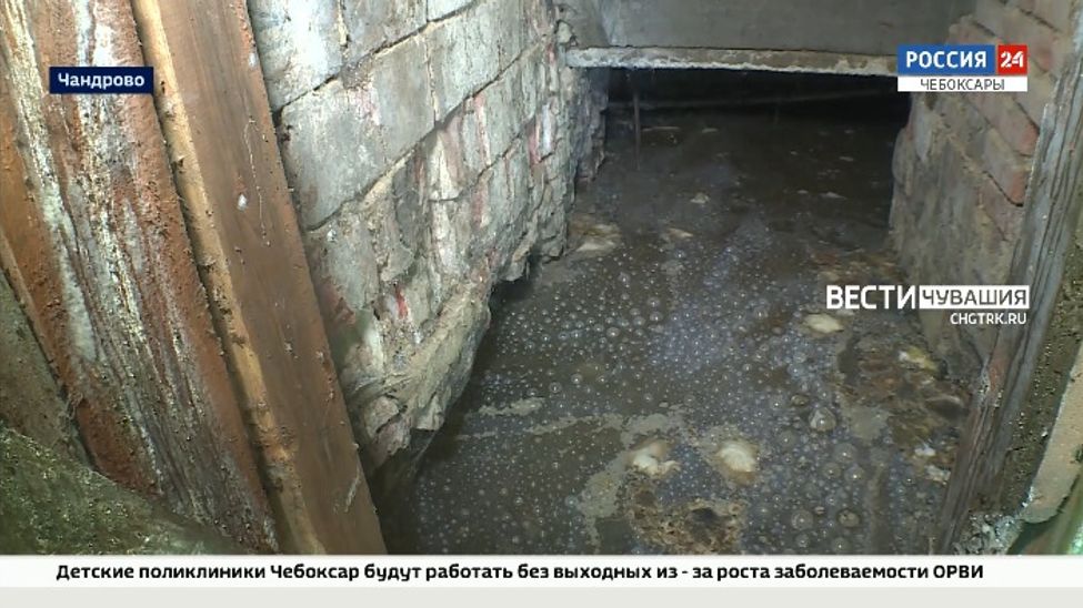 Жильцы аварийного дома в Чандрово вынуждены терпеть зловонье из затопленного подвала