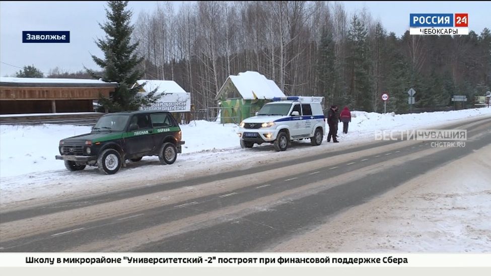 В Чувашии в круглосуточном режиме охраняют ели от незаконной вырубки