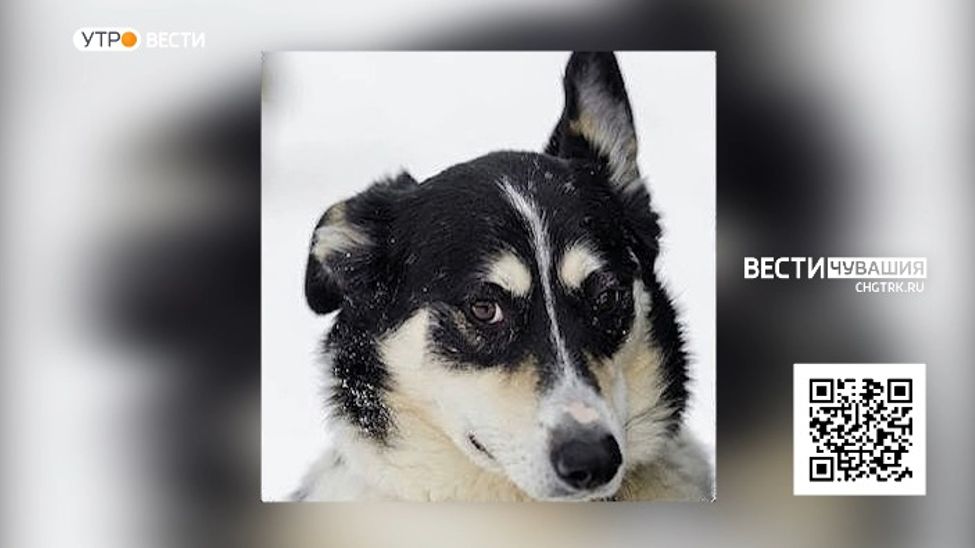 Проект "Найди друга". №44. Мотя