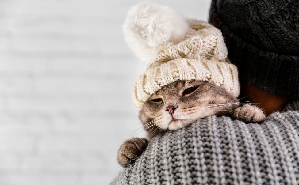 В Чувашию придут морозы до минус 40 градусов