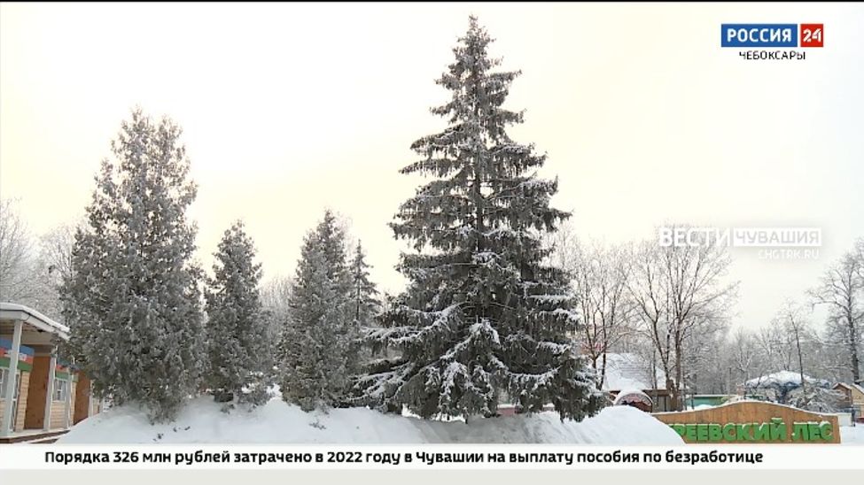 К концу рабочей недели в Чувашии установится комфортная зимняя погода