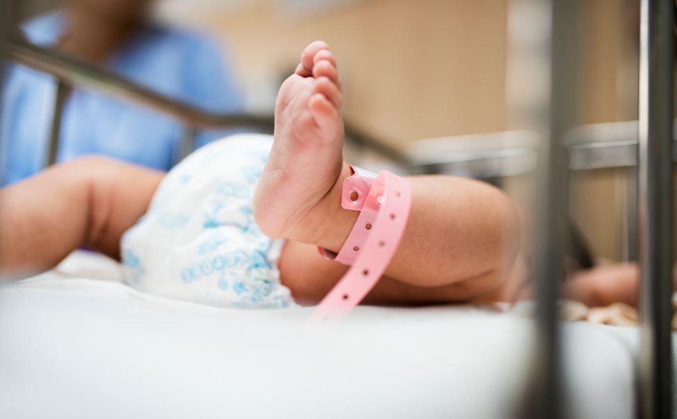 В 2022 году в Чебоксарах появилось на свет 26 пар двойняшек