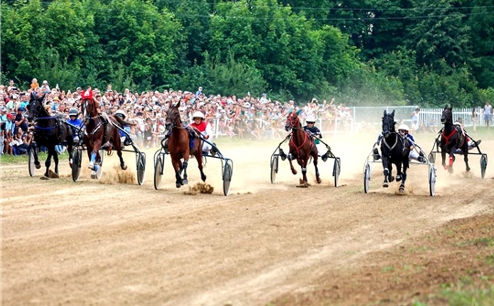 В Чувашии при конноспортивной школе построят ипподром