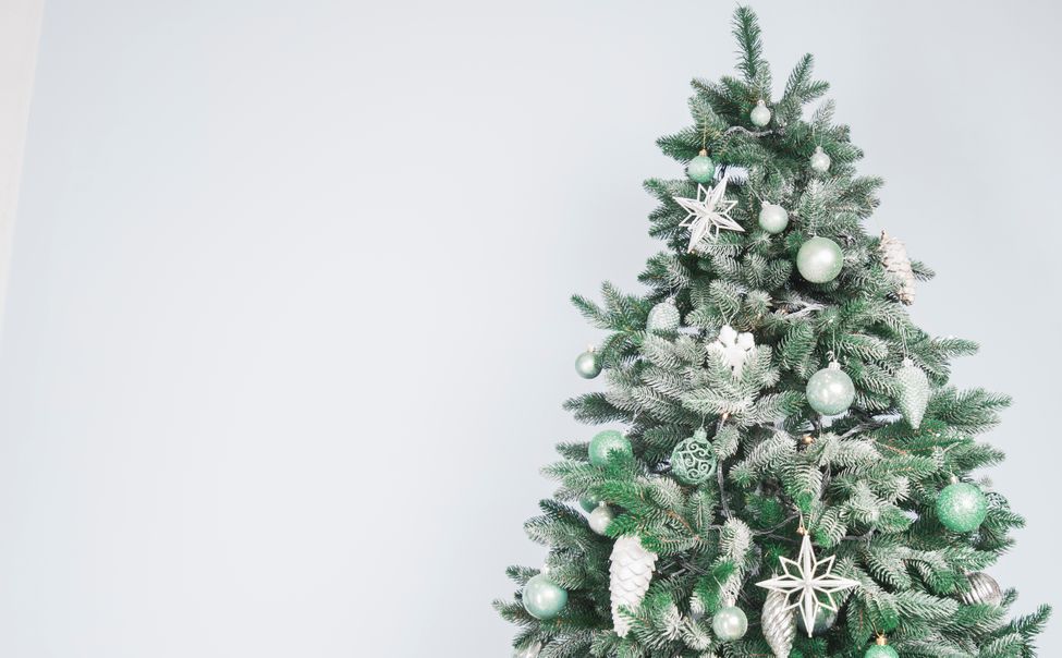 Жители Чувашии смогут сдать ёлки на переработку