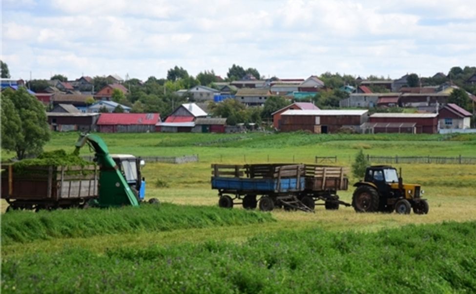 В Чувашии субсидии на развитие личного подсобного хозяйства получил 841 самозанятый 