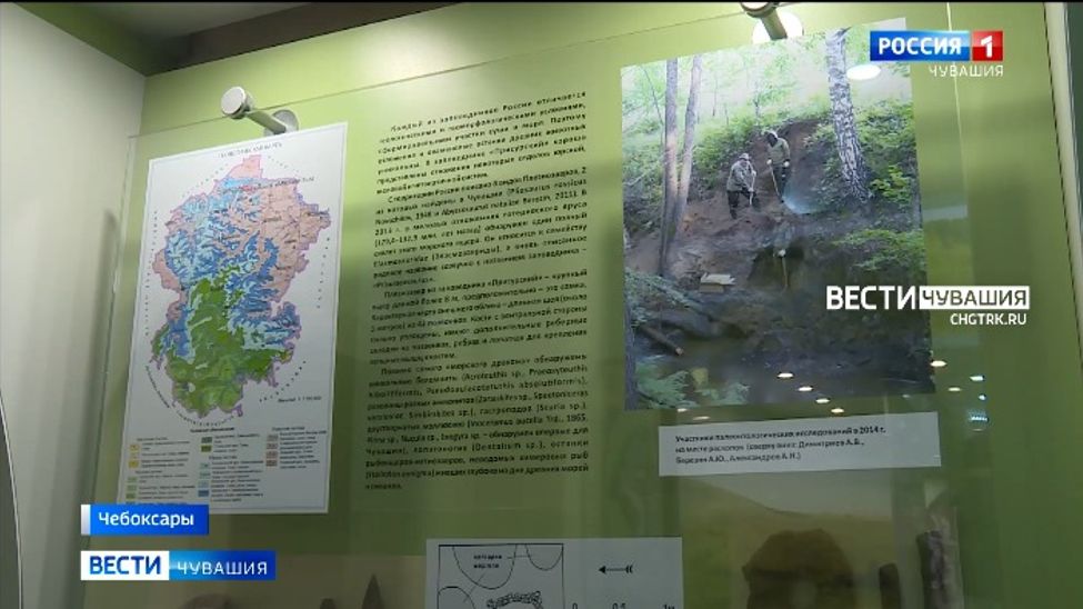 За год в заповеднике "Присурский" найдено несколько сотен видов животных