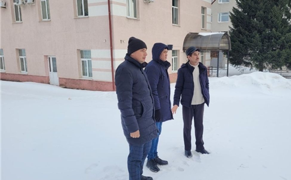 В Чебоксарах искали лису, бегавшую по крыше дома