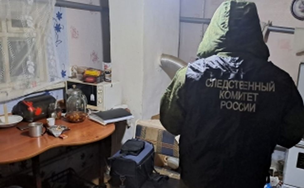 Житель Батыревского округа отправится в тюрьму на 9 лет за убийство матери