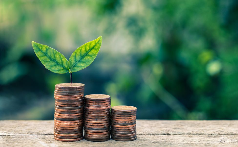 Ядринское предприятие задолжало почти 400 тысяч рублей за загрязнение окружающей среды