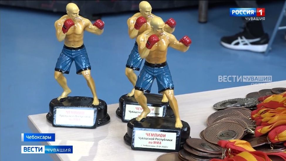 Представители ММА разыграли награды чемпионата Чувашии