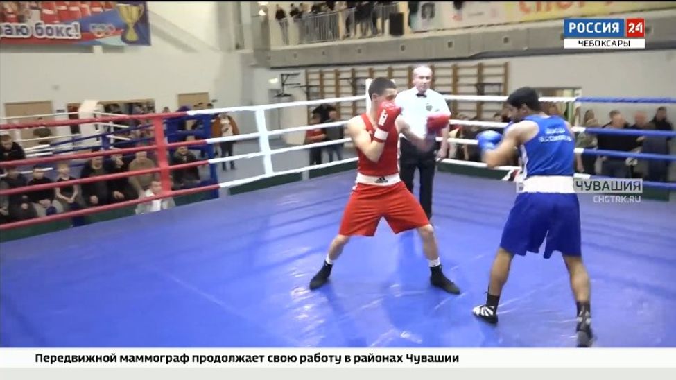 Боксеры Чувашии в 79-й раз разыграли награды чемпионата республики 