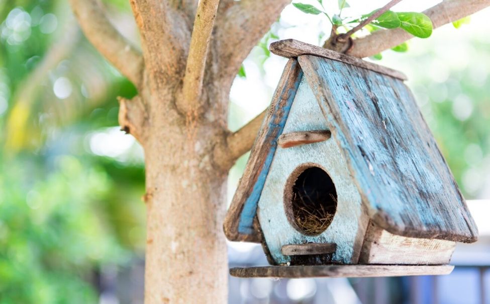 Молодежь Чувашии приглашается к участию к экоконкурсу «С новосельем»