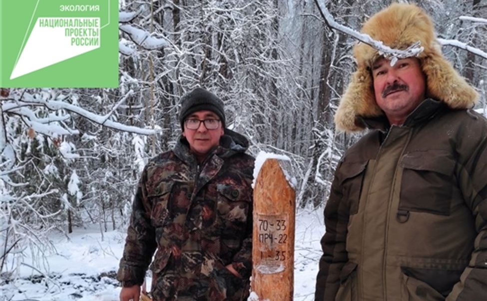 В лесах Чувашии в 2022 году проведено свыше 3 тысяч рейдов по пресечению незаконных рубок