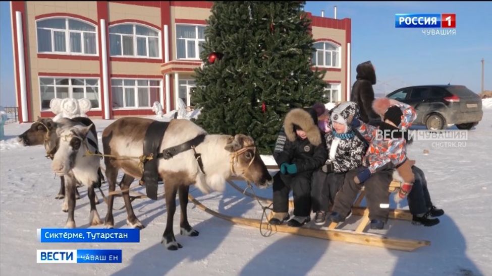 Пӑлансем хӑйсене кунта килти пекех туяҫҫӗ
