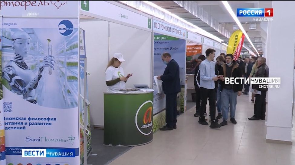 88 компаний со всей страны примут участие в выставке "Картофель-2023" в Чебоксарах