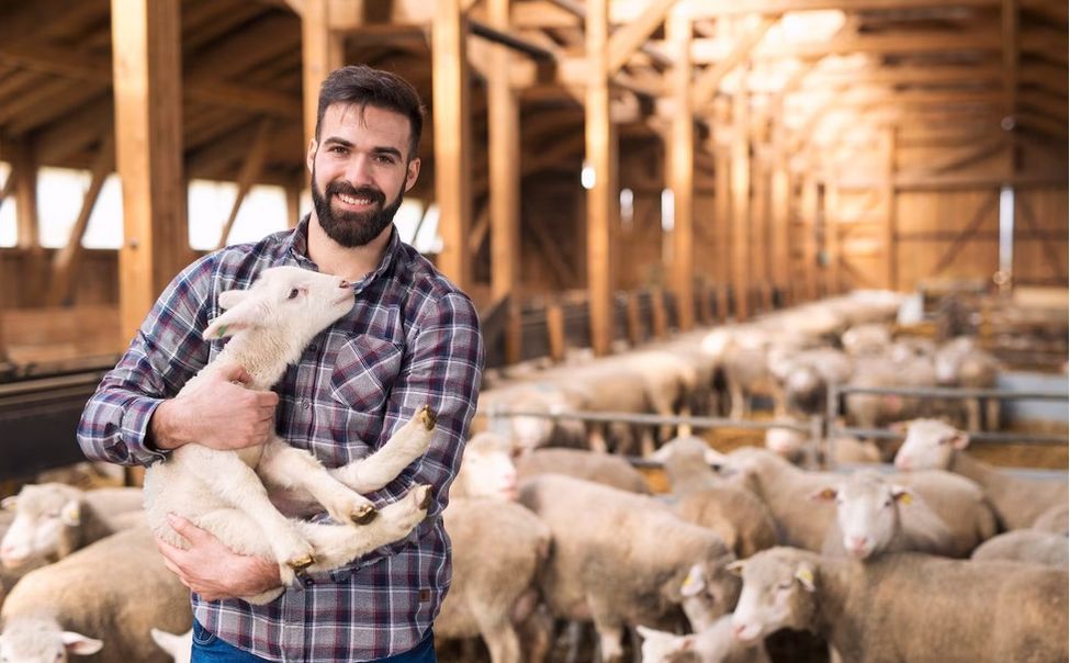 Российское правительство увеличило господдержку малого агробизнеса