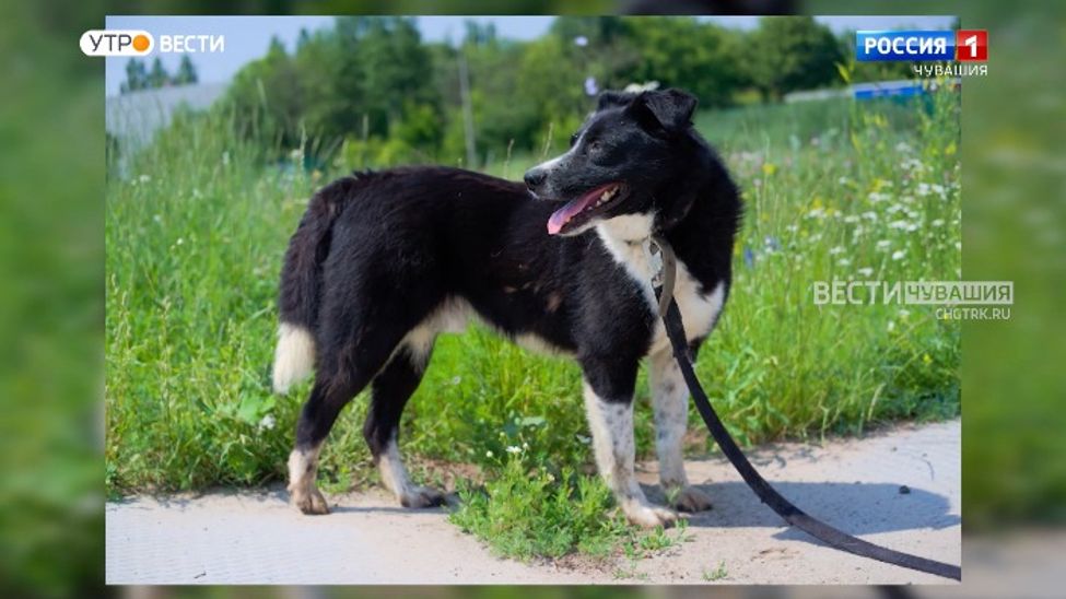 Проект "Найди друга". №46. Дёма