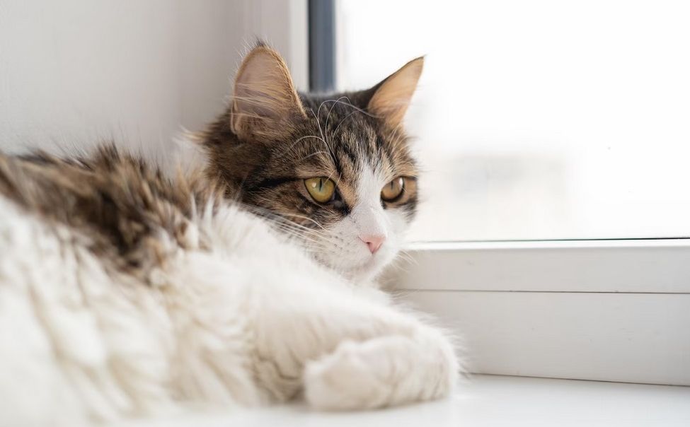 Масленица принесла в Чувашию похолодание