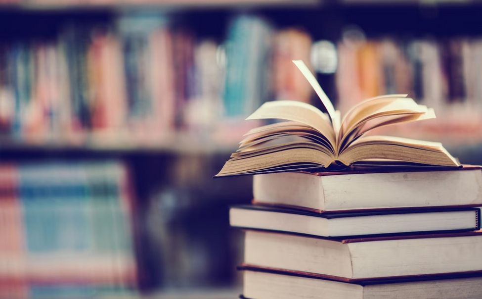 Владимир Путин подчеркнул важность повышения качества гуманитарного образования