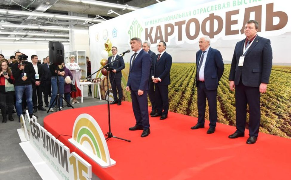 Впервые в Чувашии начнут выпускать собственные чипсы из картофеля